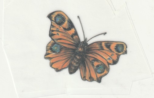 Rub On Transfers: Butterflies