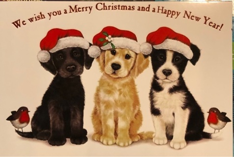 Christmas greeting with puppies  - 5 x 4” MAGNET - GIN ONLY