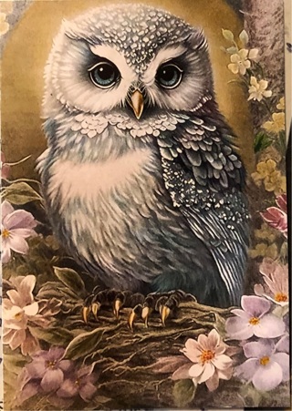 Cute Owl - 3 x 5” MAGNET - GIN ONLY