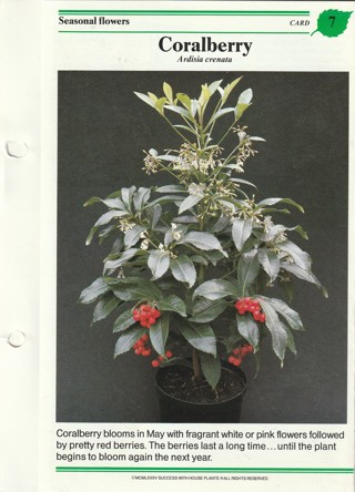 Success with Plants Leaflet: Coralberry
