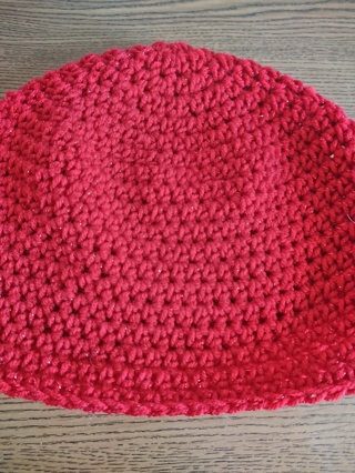 Hand Crocheted Slouch Hat 