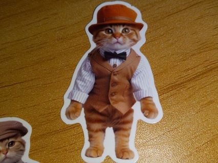 Cat new one nice vinyl lap top sticker no refunds regular mail very nice quality