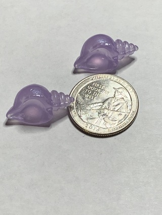 SEASHELLS~#1~SET OF 2~GLOW IN THE DARK~FREE SHIPPING!