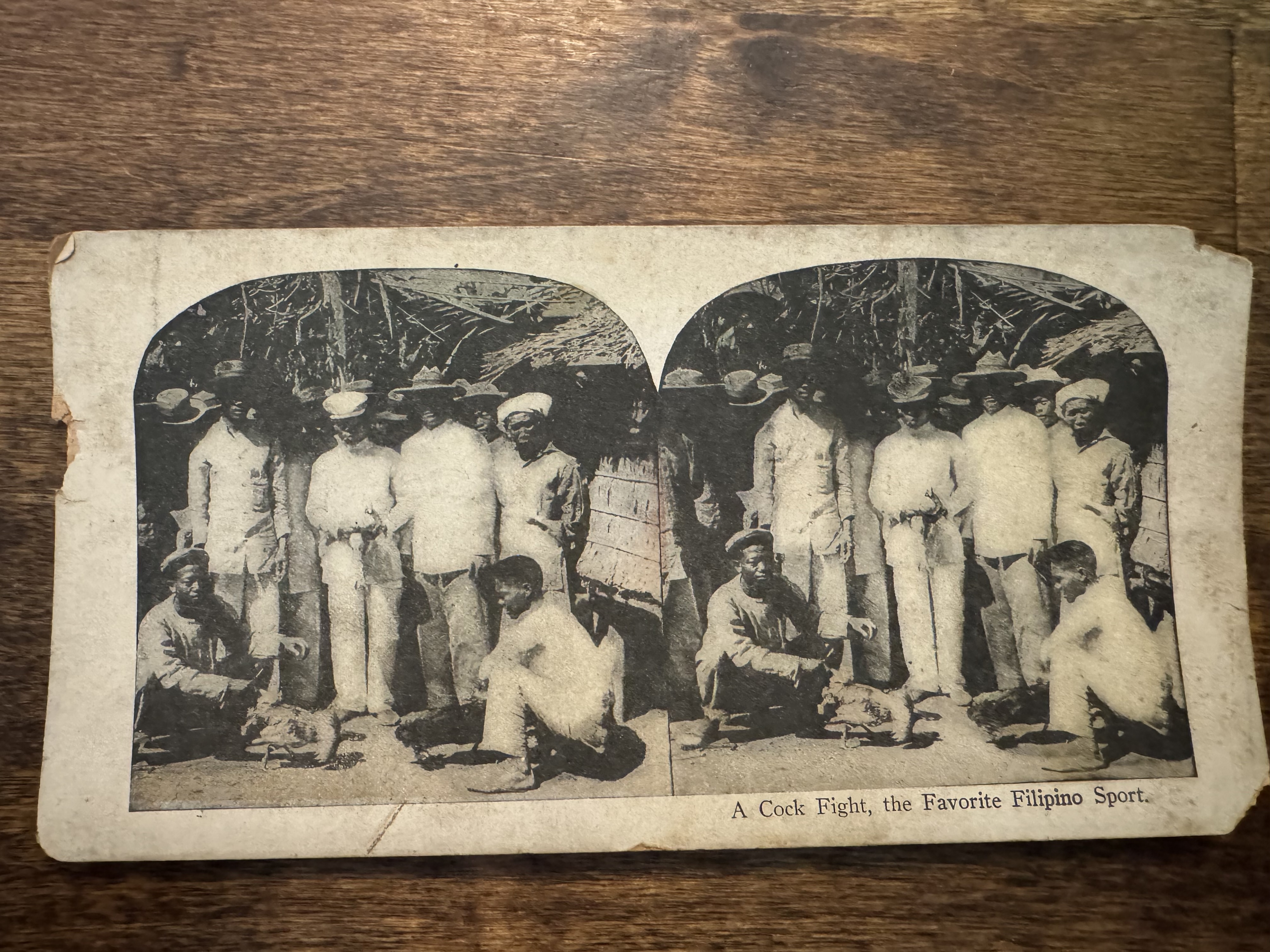 Free: Early 1900s Favorite Filipino Sport Stereoview Card
