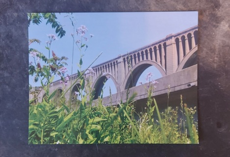 Nicholson Bridge Postcard 