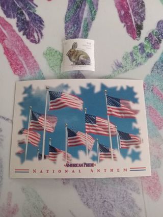 American Pride Sticker Card Trading Card