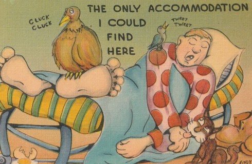 Vintage Unused Postcard: Linen: Comic: The Only Accommodation