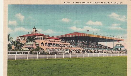 Vintage Used Postcard: k: Linen: 1937 Winter Racing at Tropical Park, Miami, FL