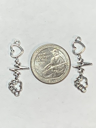 MEDICAL CHARMS~#13~SET OF 2 CHARMS~SET 2~FREE SHIPPING!