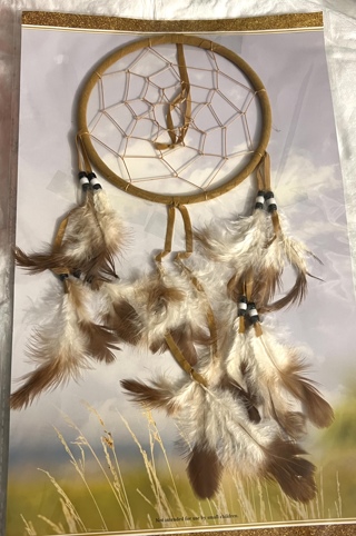 BNIP Beautiful 14"x 8" Dreamcatcher Of HOPE For Your Household! And A Native American Birthday Card