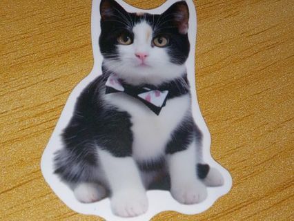 Cat New Cute 1⃣ vinyl sticker no refunds regular mail only Very nice quality!