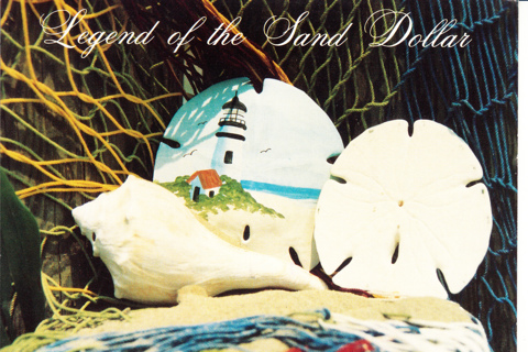 Vintage Postcard Legend of the Sand Dollar