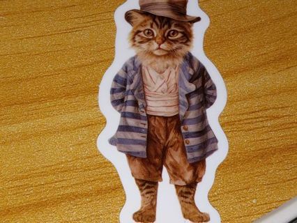 Cat Cute nice 1⃣ vinyl sticker no refunds regular mail only Very nice quality!