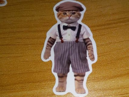 Cat new one vinyl lab top sticker no refunds regular mail high quality!