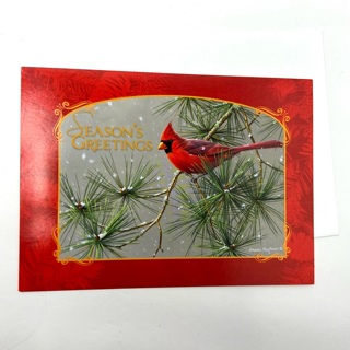 Cardinal Red Bird Christmas Greeting Card 