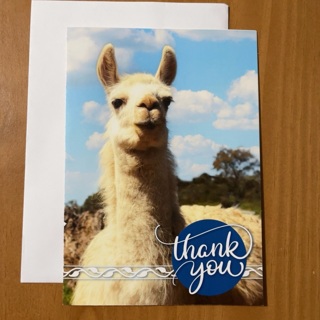 Llama Thank You Card 