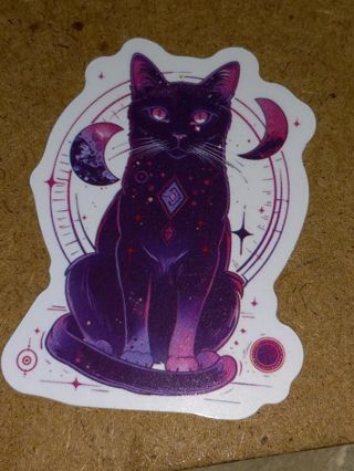 Cat Cute nice one vinyl sticker no refunds regular mail only Very nice quality!