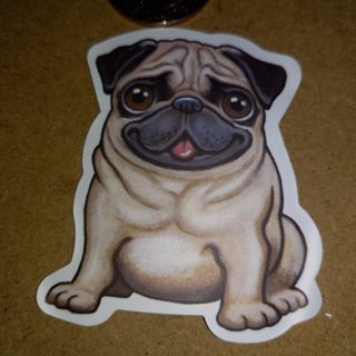 Pug Cute one nice vinyl sticker no refunds regular mail only Very nice quality!
