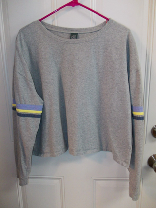 Wild Fable Size XXL Gray Long Sleeve Cropped Top