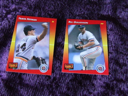 1992 Detroit Tigers Donruss Triple Play Card Lot of 2