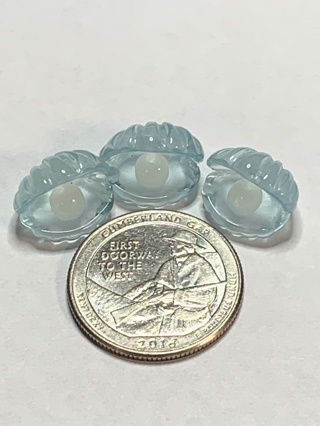 CLAMSHELLS~#10~LIGHT BLUE~SET OF 3~GLOW IN THE DARK~FREE SHIPPING!