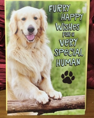 Retriever Dog Birthday Card