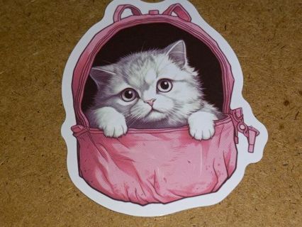 Cat Cute vinyl sticker no refunds regular mail Win 2 or more get bonus