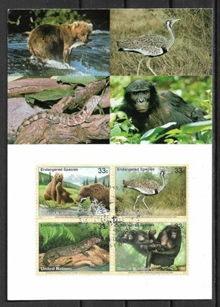 United Nations NY Sc776a Endangered Species maxi card