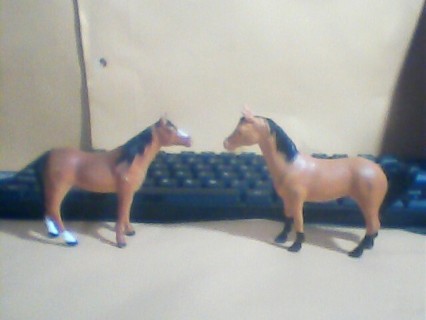 Plastic Horses