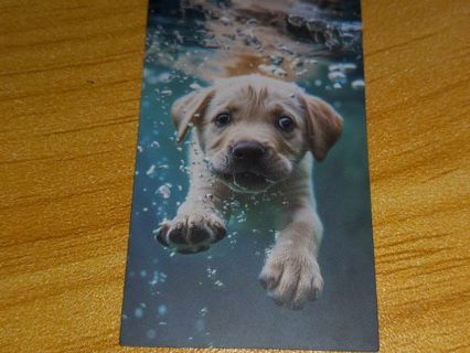 Dog Cute one vinyl sticker no refunds regular mail Win 2 or more get bonus