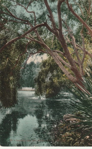 Vintage Unused Postcard: e: Lake Scene