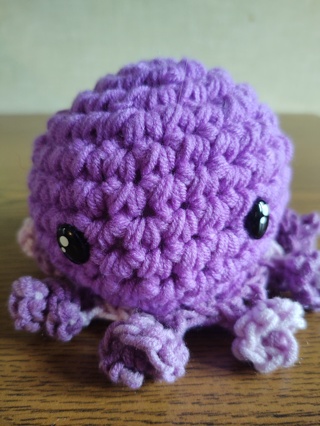 Hand Crocheted Amigurumi Octopus 