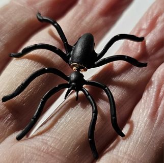 Spider Earrings