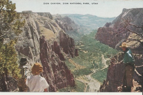 Vintage Unused Postcard: d: Zion National Park, Utah