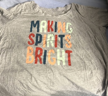 Gray Woman Within Tee Shirt. “MAKE SPIRITS BRIGHT” Size 22. Pretty And Fun! Very Gently Used