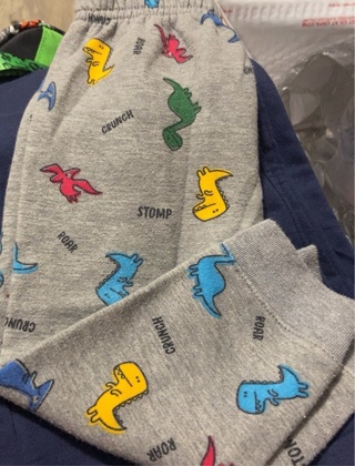 Baby boy dinosaur sweatpants 