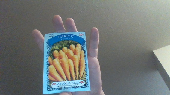 carrot danver's 126