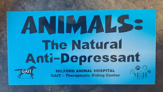 Animals: The Natural Anti-Depressant Decal 