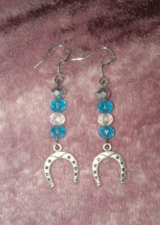 Crystal Horseshoe Charm 925 stamped hook earrings new in pk