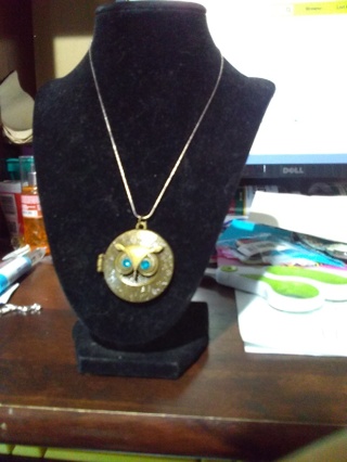 Unique Owl Locket Necklace