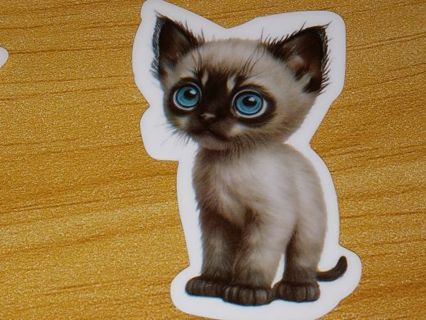 Cat Cute new one nice vinyl laptop sticker no refunds regular mail very nice quality