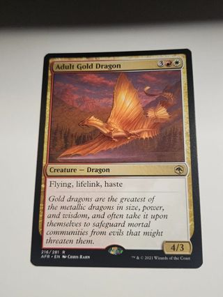 Magic the gathering mtg Adult Gold Dragon rare card Forgotten Realms