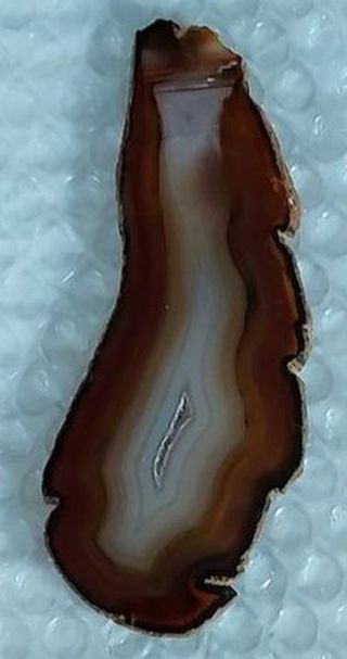 Natural Gemstone Brown Agate Slice Geode Polished