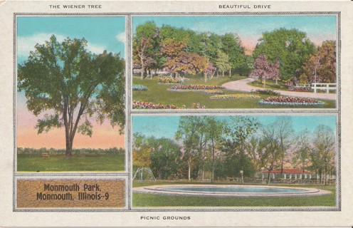Vintage Unused Postcard: gin: Pre Linen: Monmouth Park, Monmouth, IL