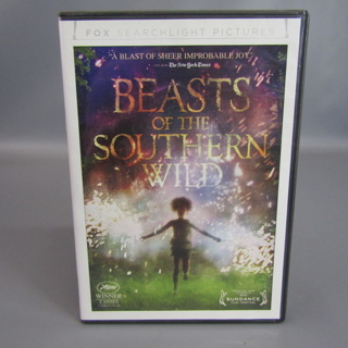 Beasts of the Southern Wild DVD 