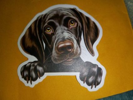 Dog Cute new vinyl sticker no refunds regular mail only Very nice these are all nice