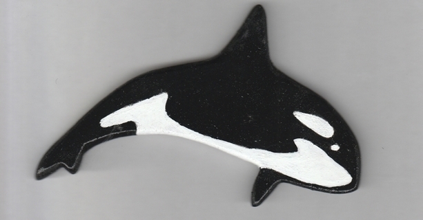 2 new wooden orca magnets