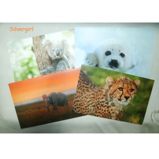 4 mixed Animal Greeting Note Cards from IFAW.