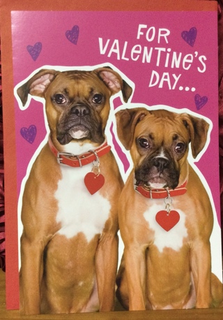 Boxers Dog Valentine Card
