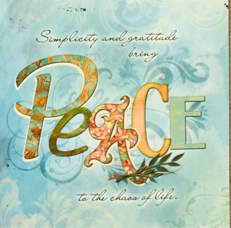 PEACE - 4 x 4” MAGNET - GIN ONLY